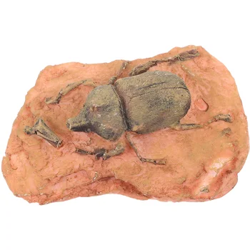 Фосилен образец Украшение от насекоми Палеонтологичен за събиране на колекция Декор Декорация Детски играчки