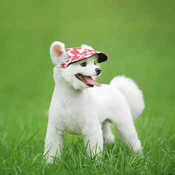 сладък домашен любимец мода плътен цвят куче шапка бейзболна шапка ветроупорен пътуване спортни слънчеви шапки за кученце голям домашен любимец куче външни аксесоари