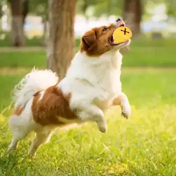 Куче лечение играчка топка IQ обучение зъби почистване каучук куче изтичане храна топка за кучета кученца домашни любимци малки животни
