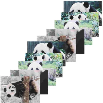 10pcs очарователни панди пощенски картички животински фотография серия пощенска картичка чудесно за бебешки душове Ден на благодарността подарък