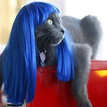 Перука за домашни любимци, забавна котешка перука Синя права коса