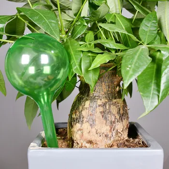 1PCS Градински топки за поливане Къща Вода Може Устройство за домашно растение Система за капково напояване Автоматична растителна самополиваща се крушка