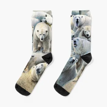 Polar Bears Чорапи Къси чорапи Спортни чорапи Мъж Дамски