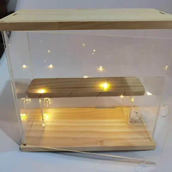 Stand Tier Light Case Riser Box Storage 2-4 ясни рафтове, показващи акрилна витрина фигура дисплей Led парфюм дървени